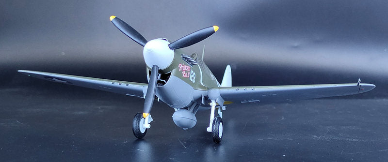prebuilt 1/48 scale P-40 Warhawk aircraft model 39311