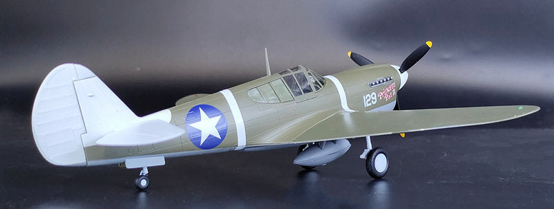 prebuilt 1/48 scale P-40 Warhawk aircraft model 39311