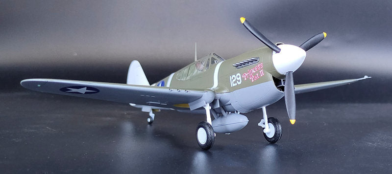 prebuilt 1/48 scale P-40 Warhawk aircraft model 39311