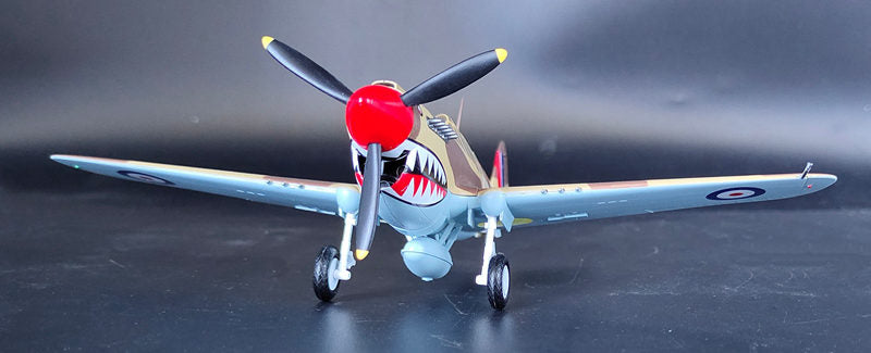prebuilt 1/48 scale P-40 Warhawk aircraft model 39312