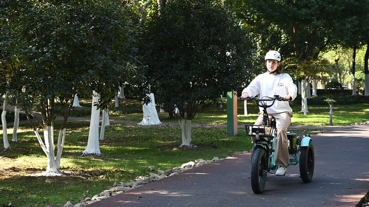 Pedal Assist vs. Throttle Control TK1 Folding Electric Trike