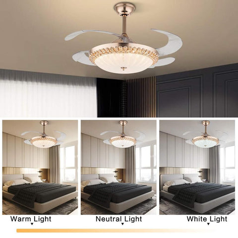 Modern Ceiling Fan Light with Remote Control
