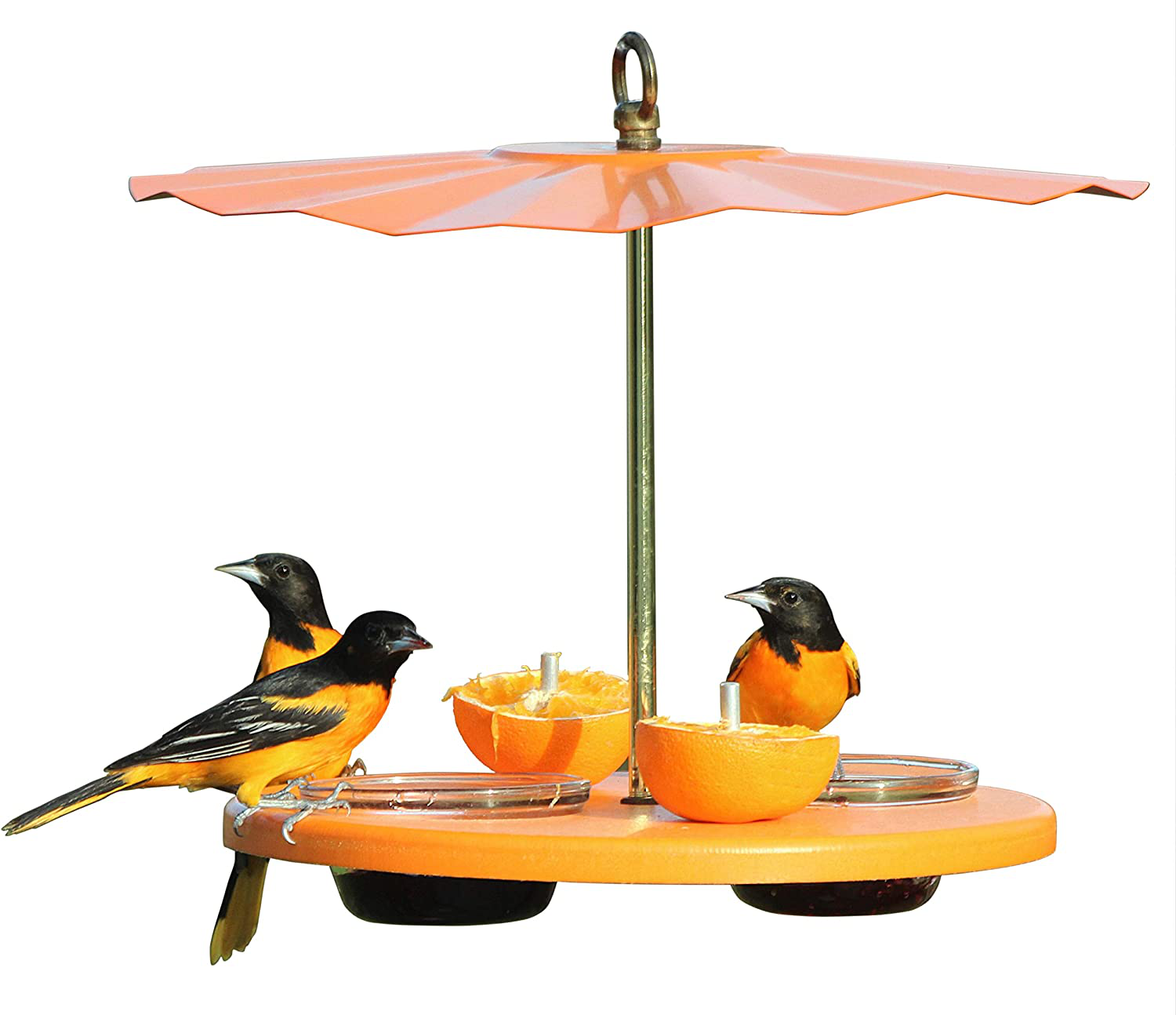 Kettle Moraine Super Oriole Recycled Orange Fruit, Jelly, Mealworm Bird Feeder w/Orange Roof