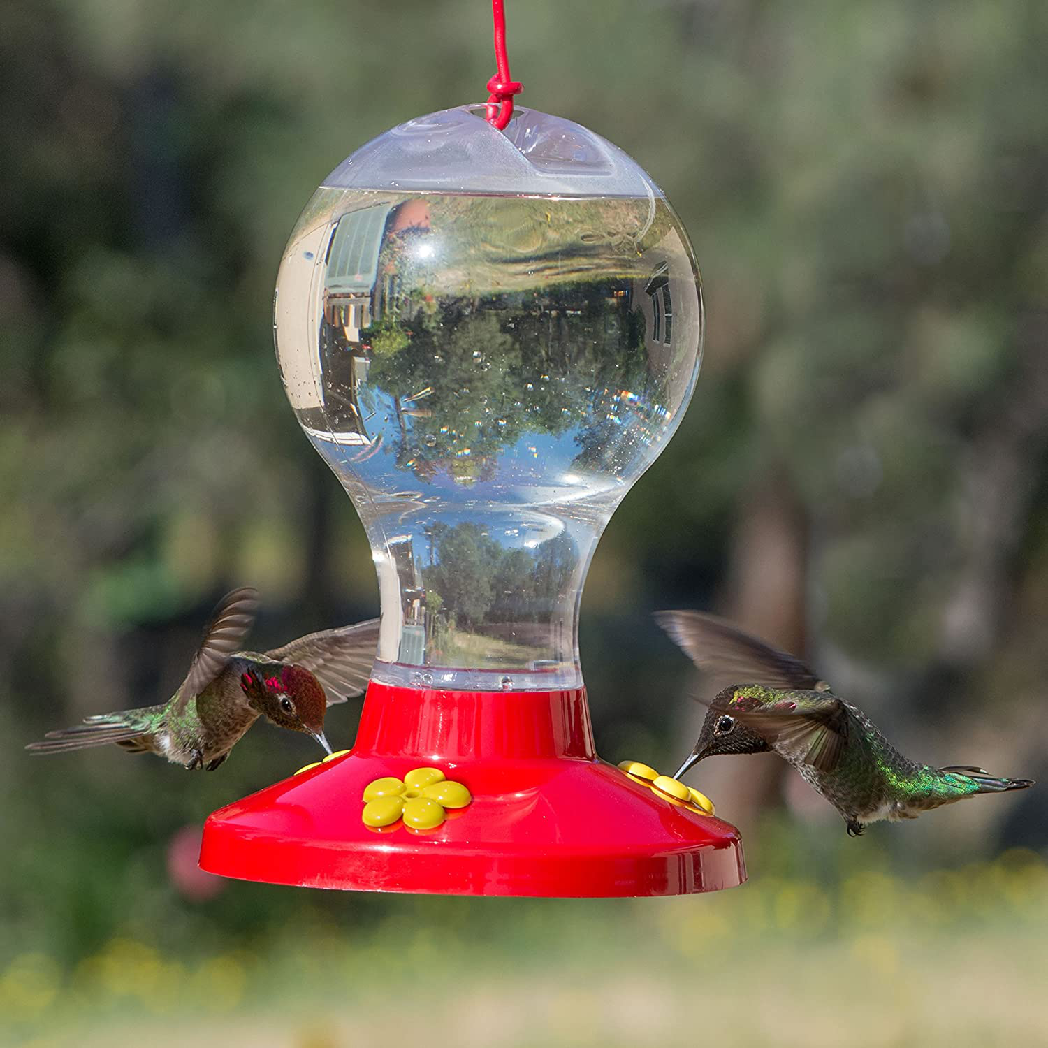 Clear Plastic Hummingbird Feeder - 16 oz