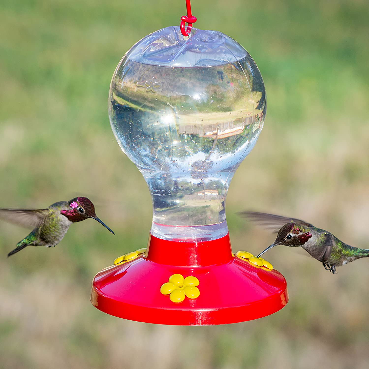 Clear Plastic Hummingbird Feeder - 16 oz