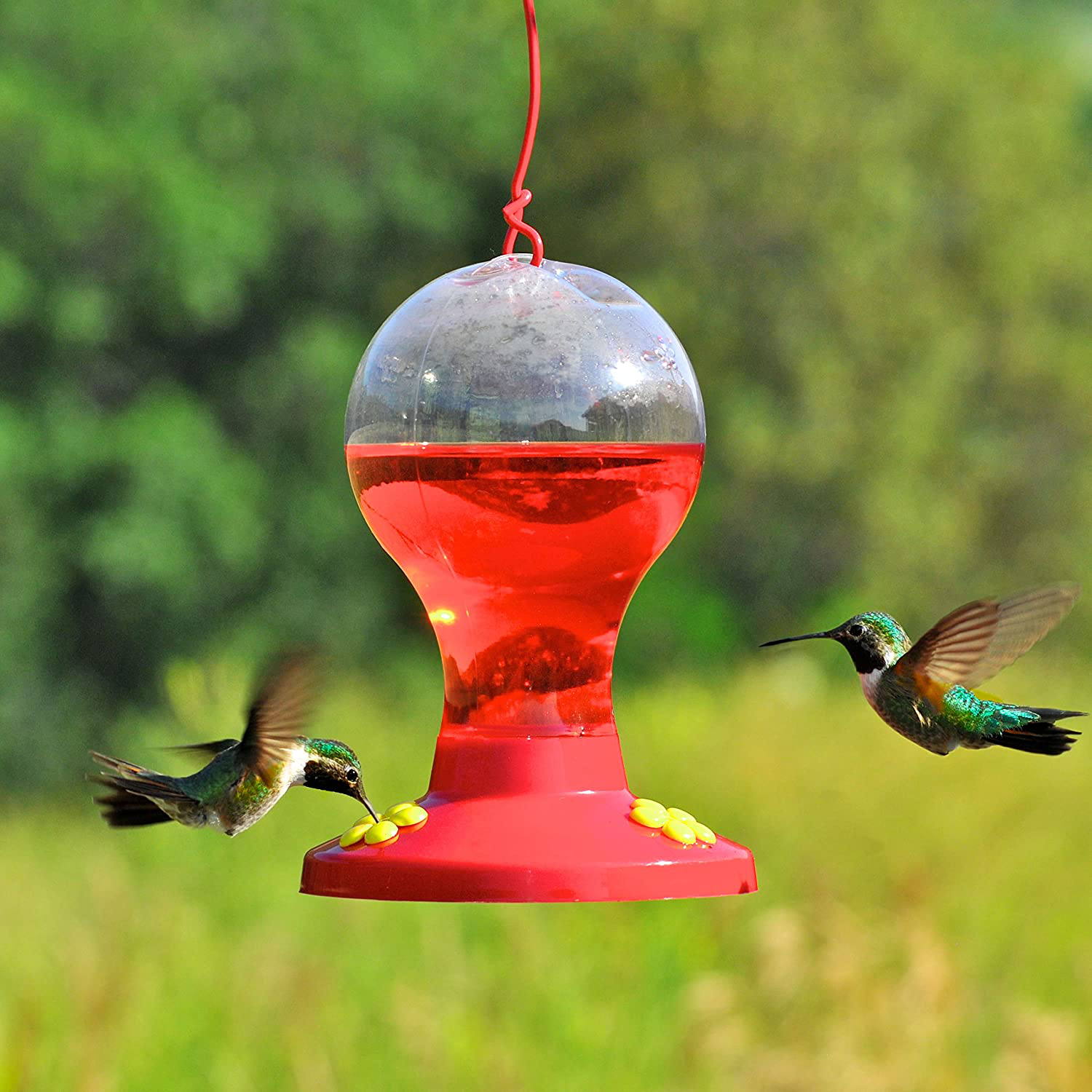 Clear Plastic Hummingbird Feeder - 16 oz