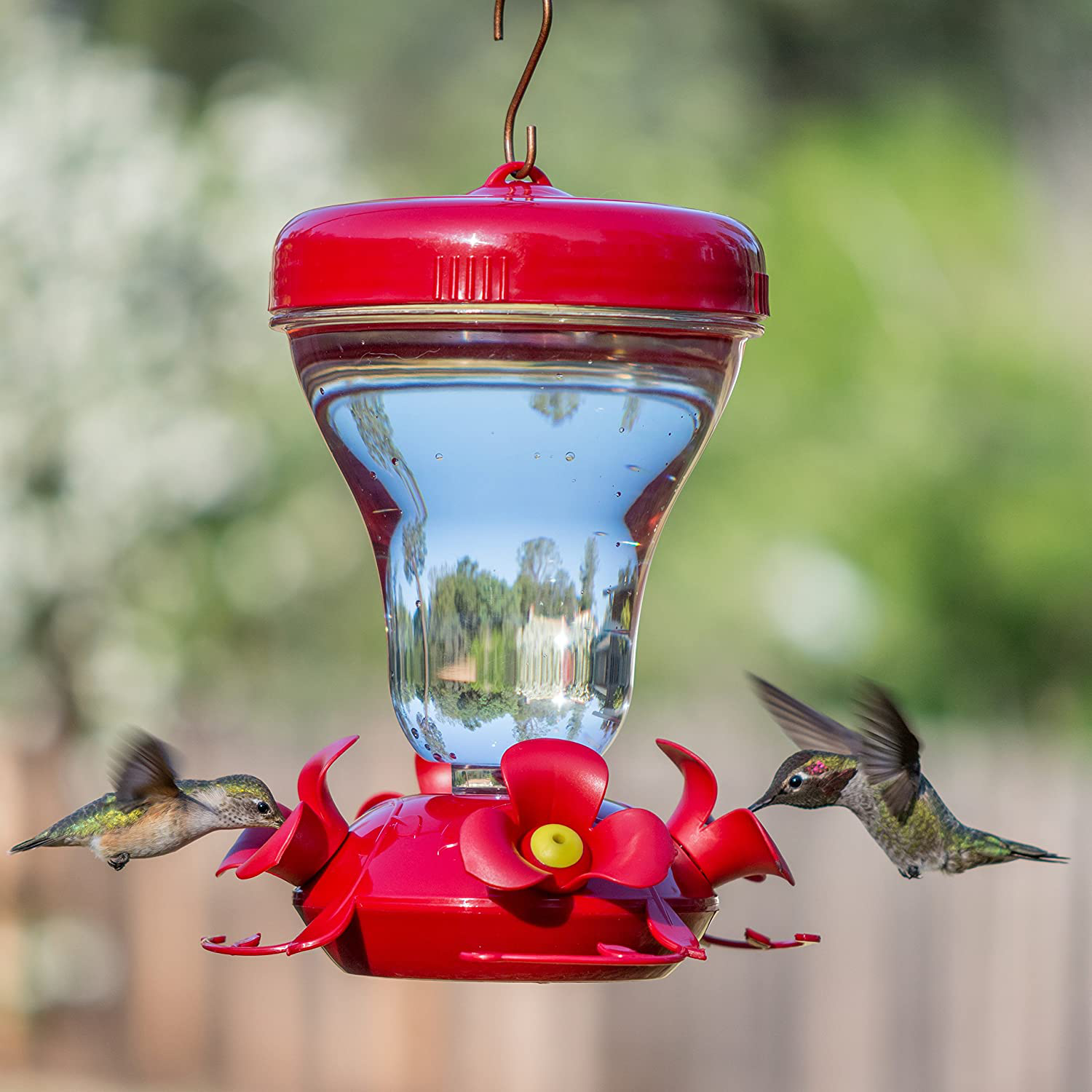 Top Fill Push-Pull Magnolia Plastic Hummingbird Feeder - 16-ounce