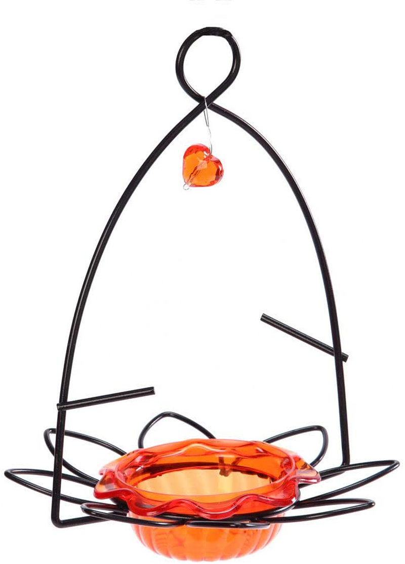 Birds Choice Flower Oriole Bird Feeder Small Orange