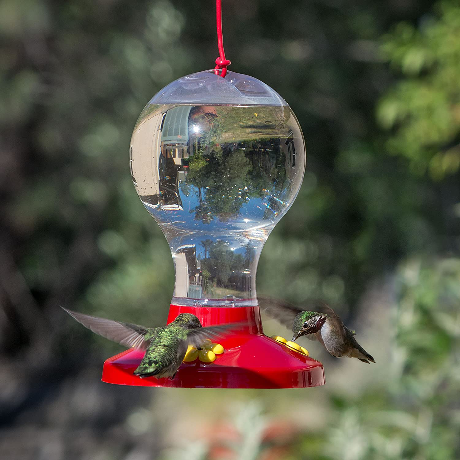 Clear Plastic Hummingbird Feeder - 16 oz