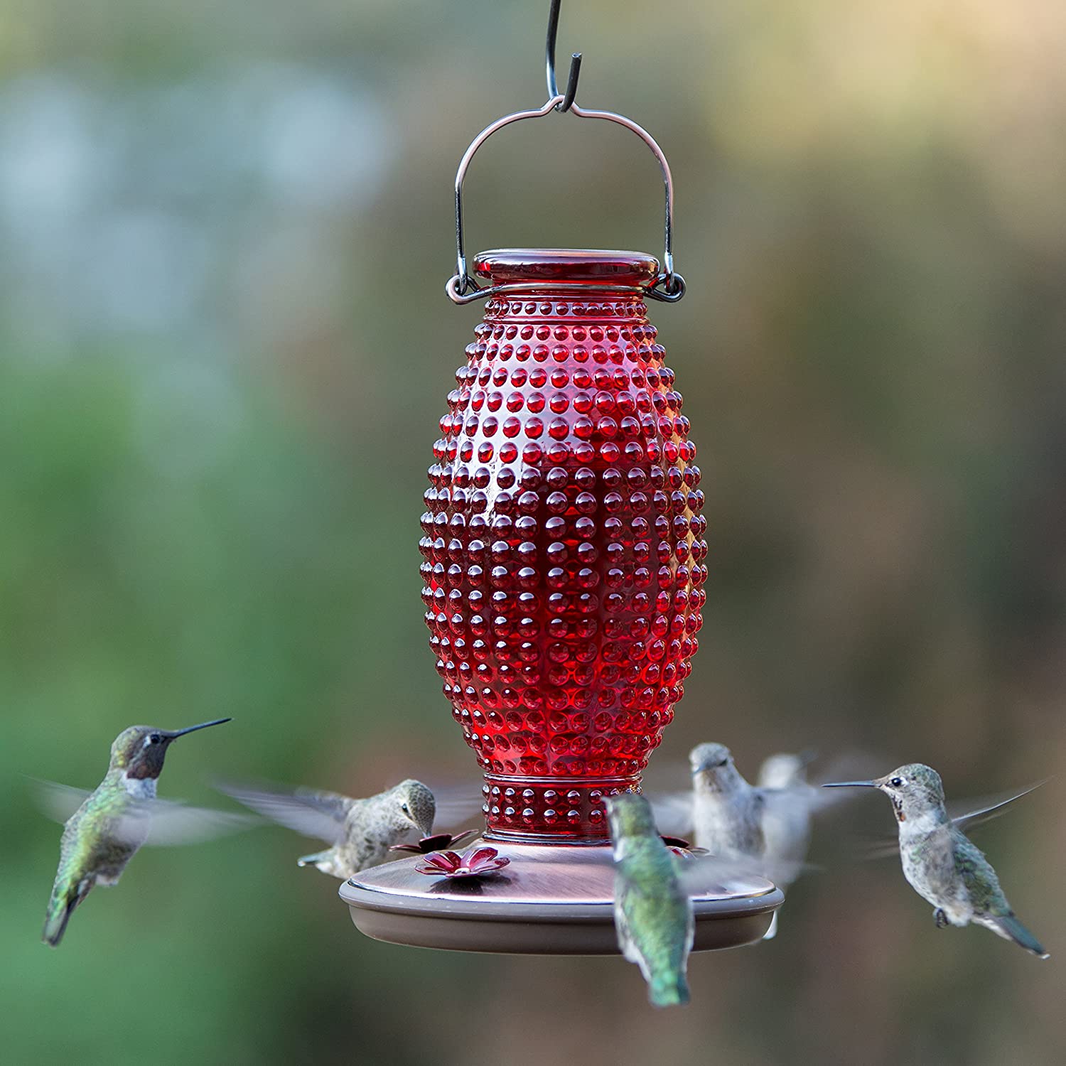Red Hobnail Vintage Glass Hummingbird Feeder - Holds 16 oz of Nectar