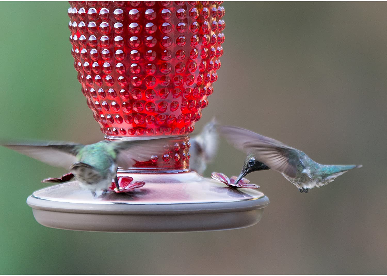 Red Hobnail Vintage Glass Hummingbird Feeder - Holds 16 oz of Nectar