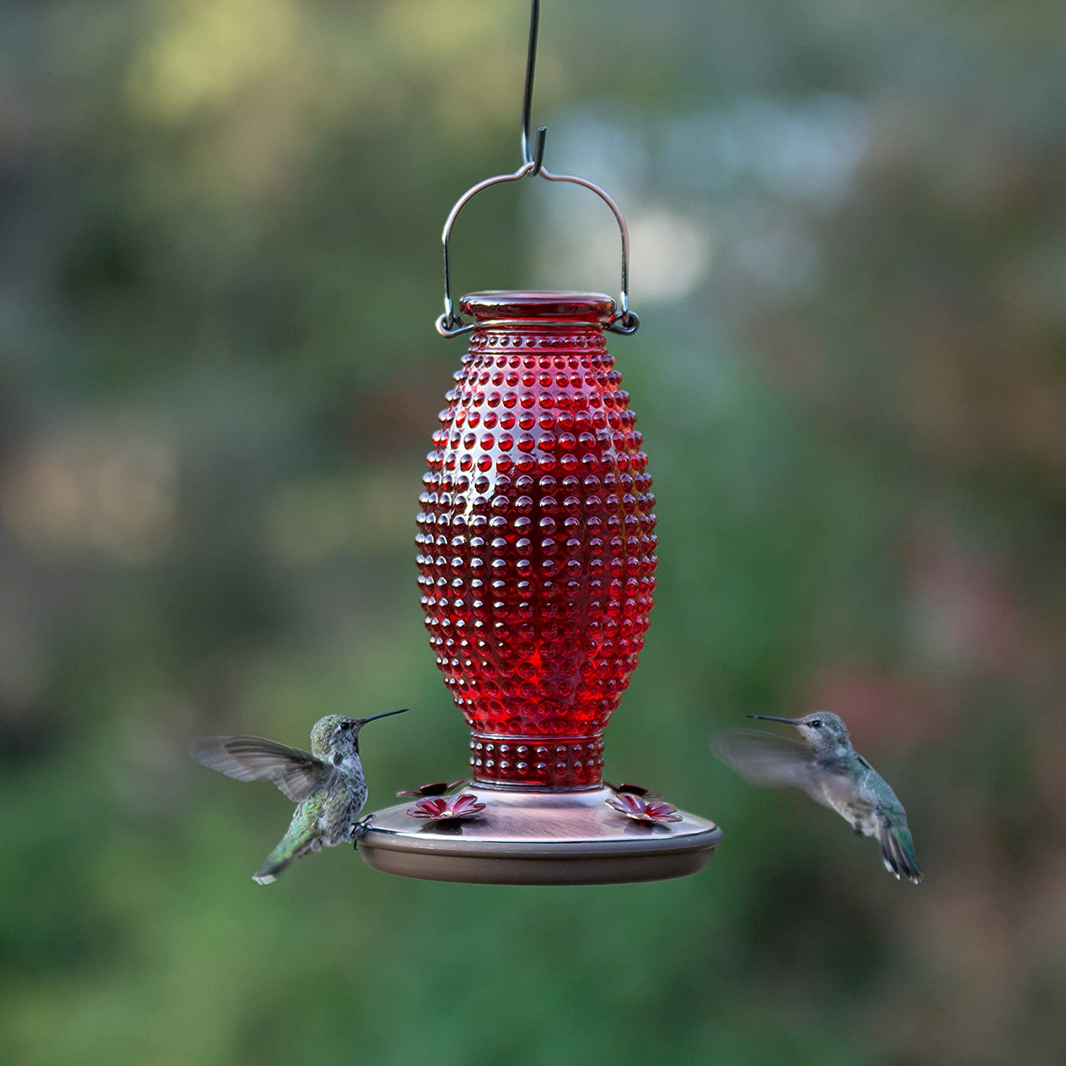 Red Hobnail Vintage Glass Hummingbird Feeder - Holds 16 oz of Nectar