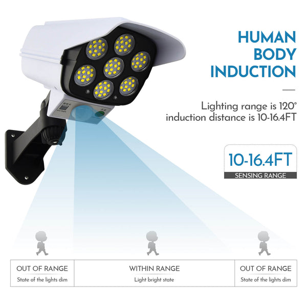 Motion Sensor Light