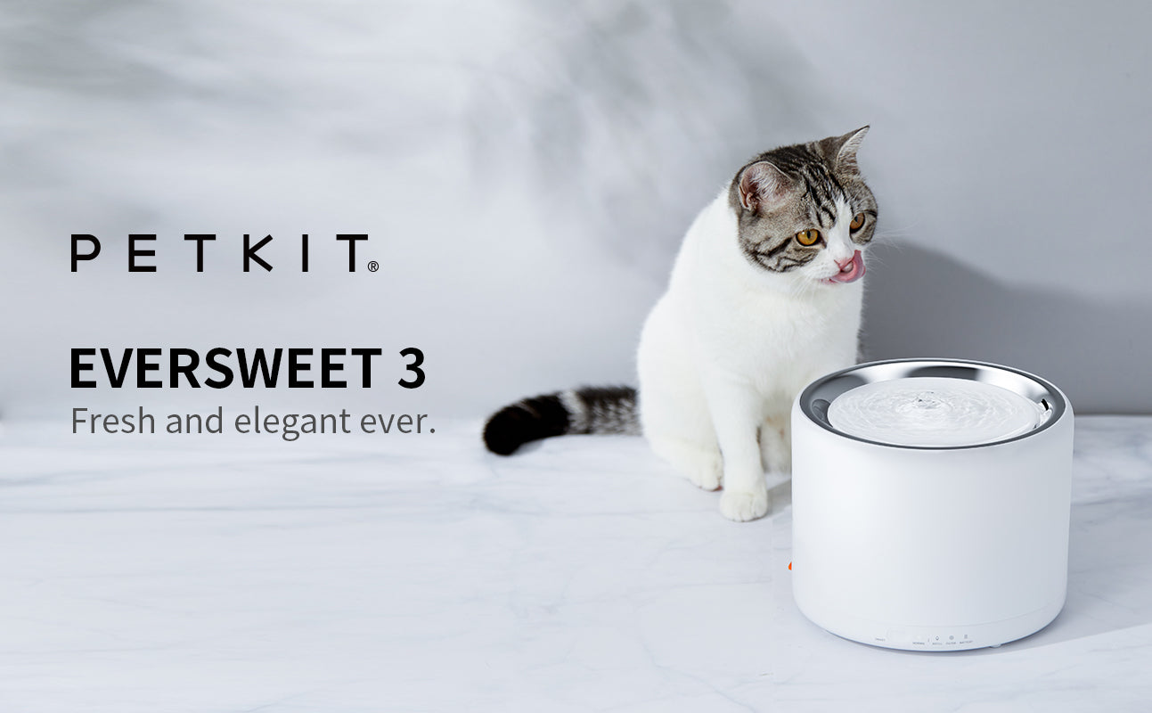 pet kit water bowl