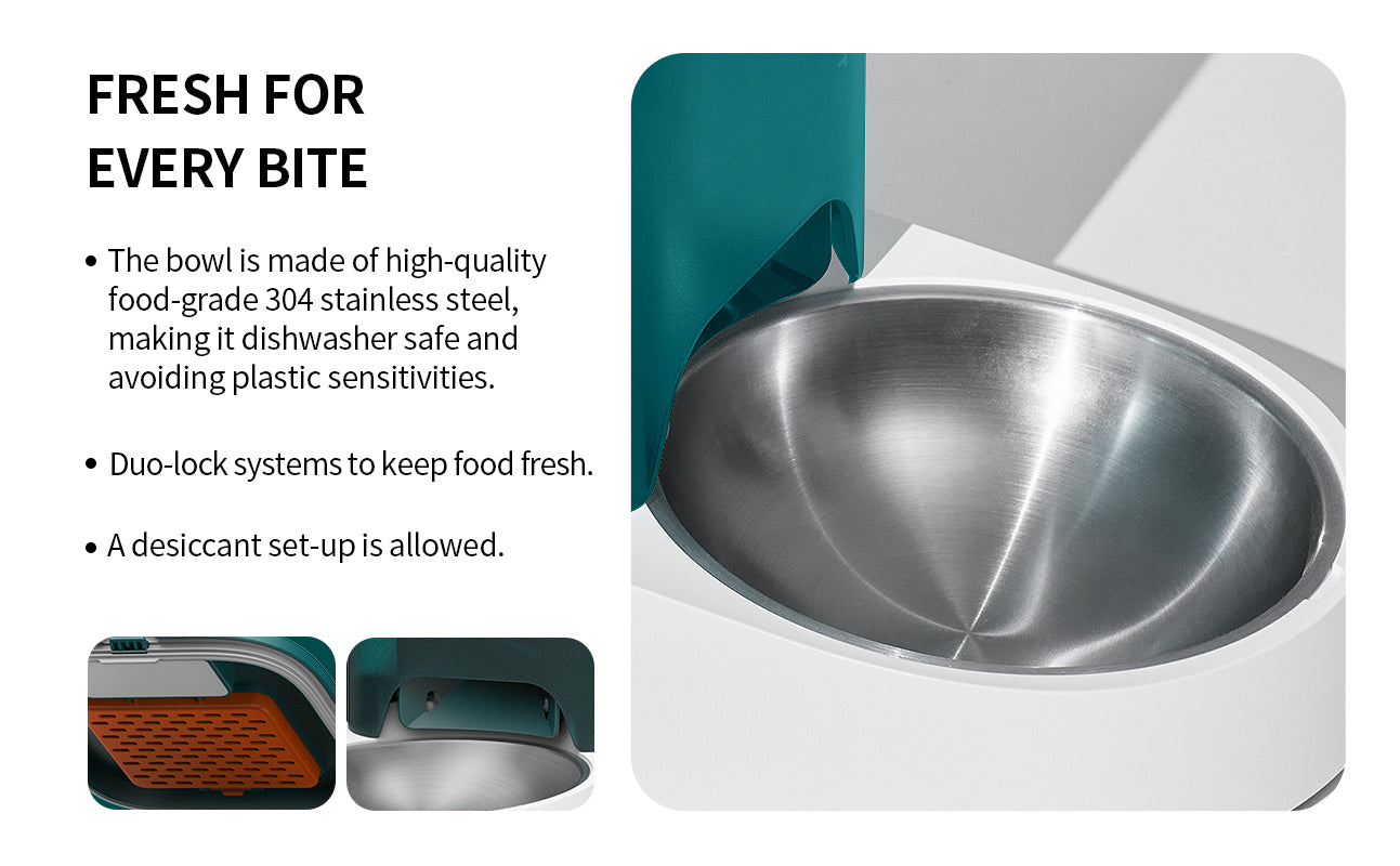 Fresh Element Solo – PETKIT US