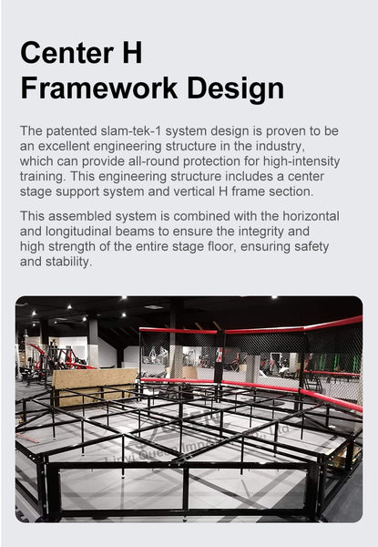 MMA UFC Octagon Cage Customized Size Logo Taekwondo Karate