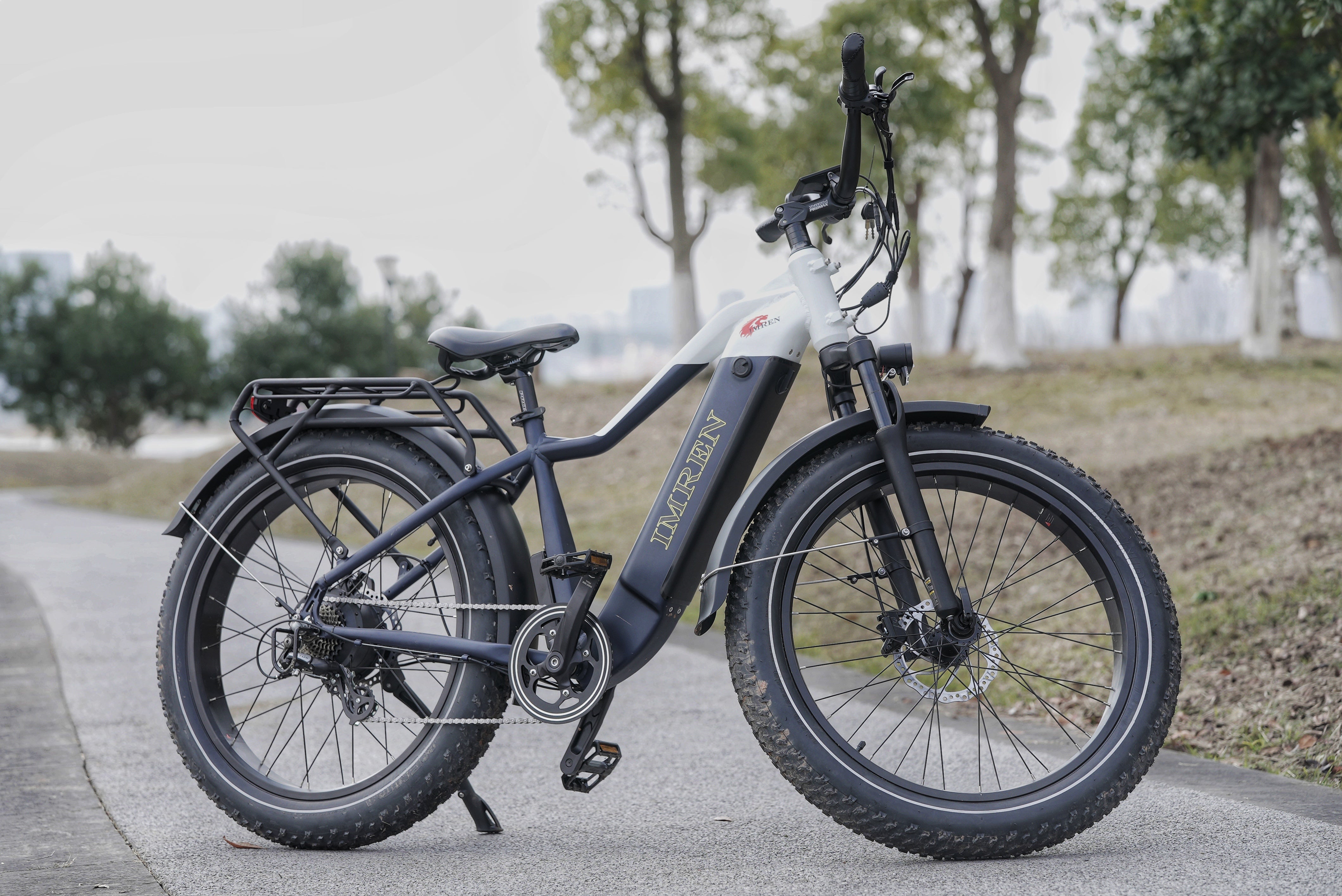 E-Bike Akkus, Reitstöcke und Motoren