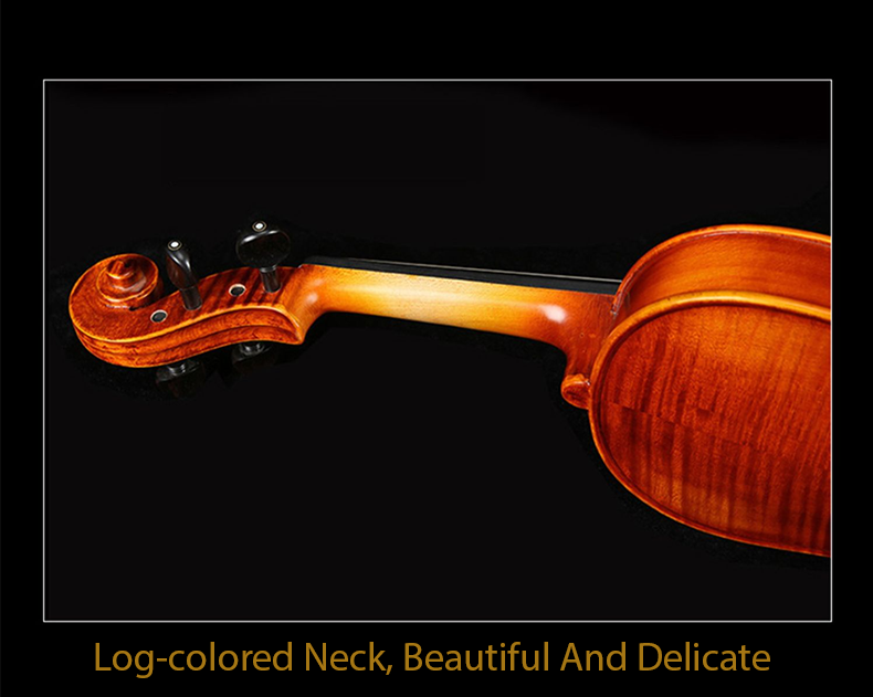 fiddlover violin shop