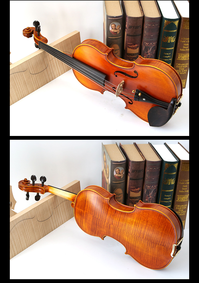 fiddlover violin shop
