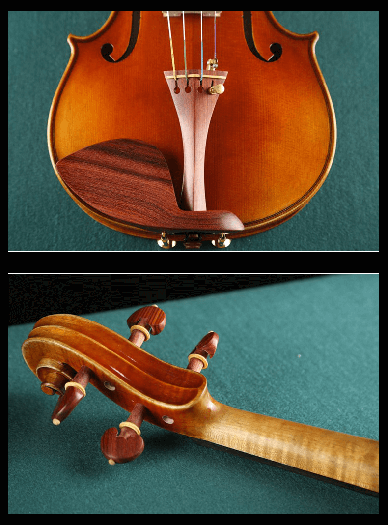 Fiddlover Violin Shop