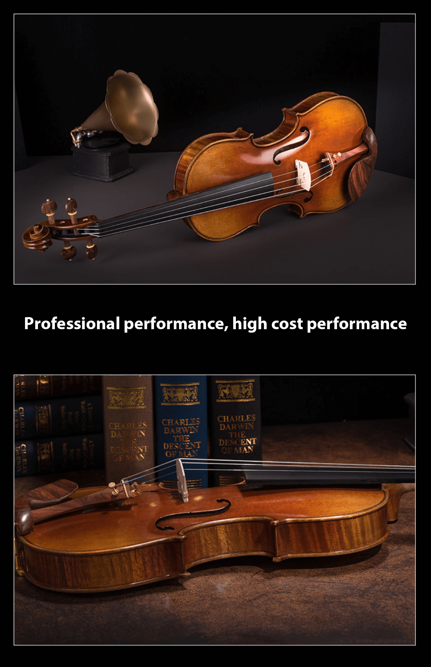 Fiddlover Violin Shop