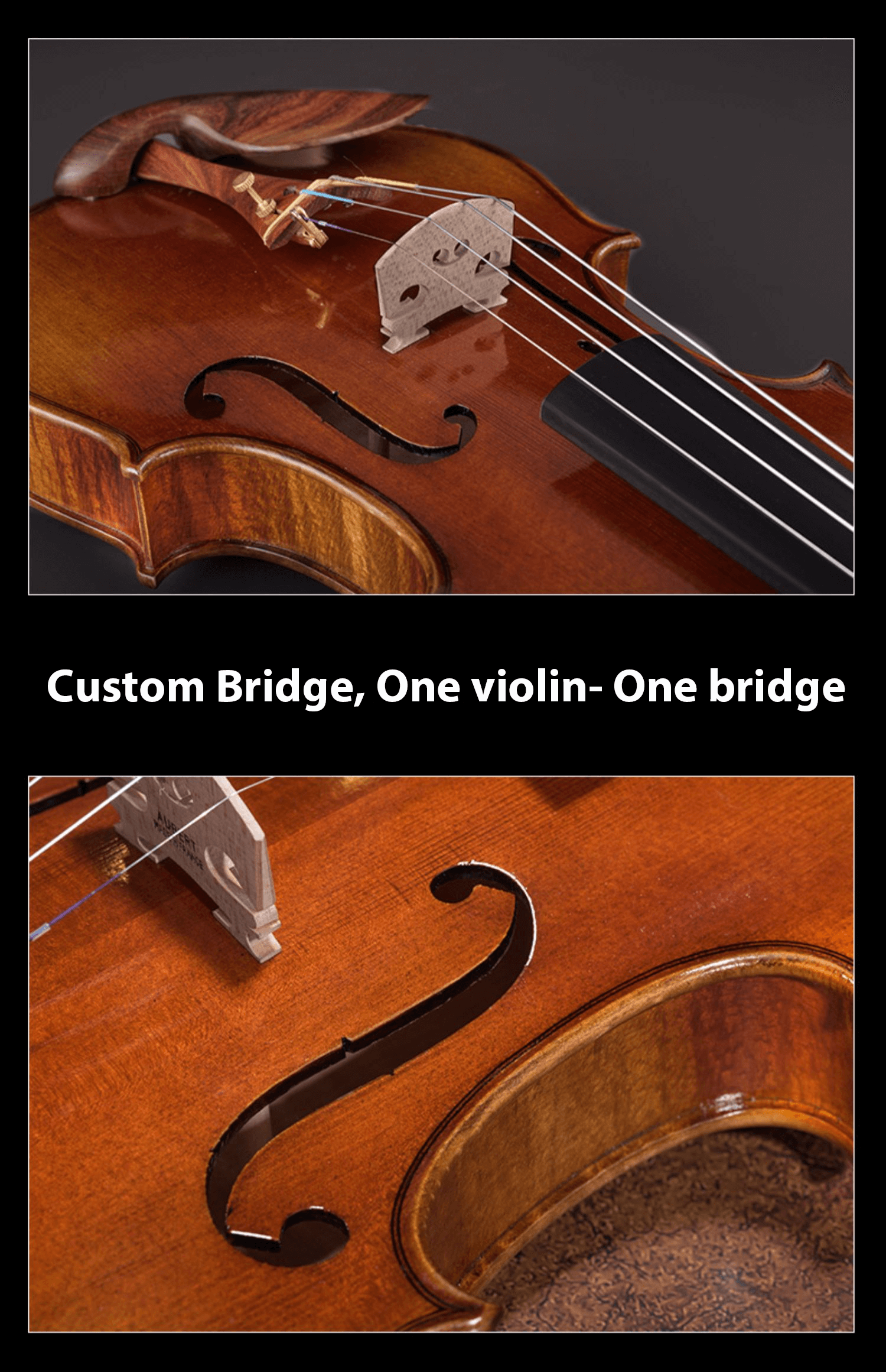 Fiddlover Violin Shop