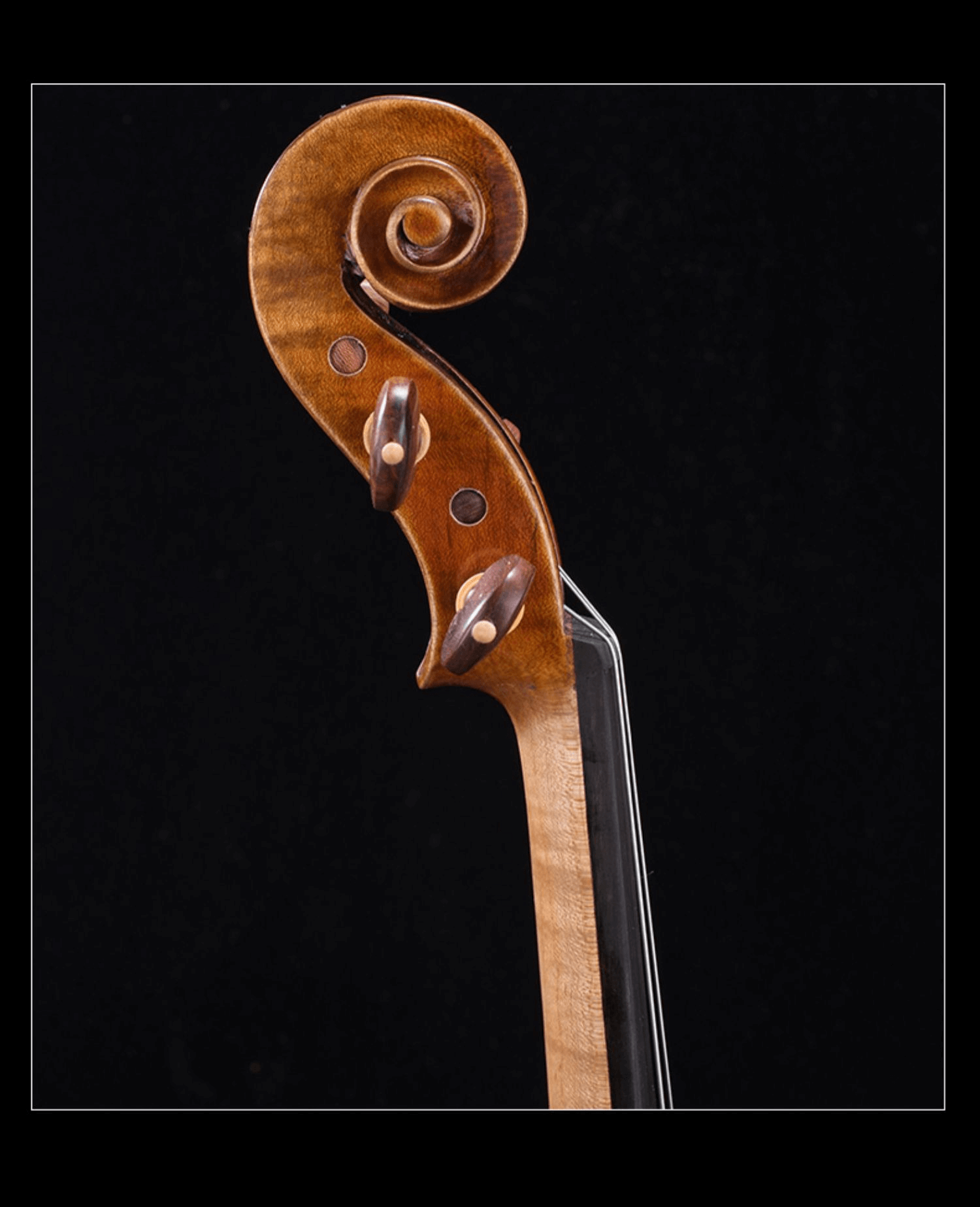 Fiddlover Violin Shop