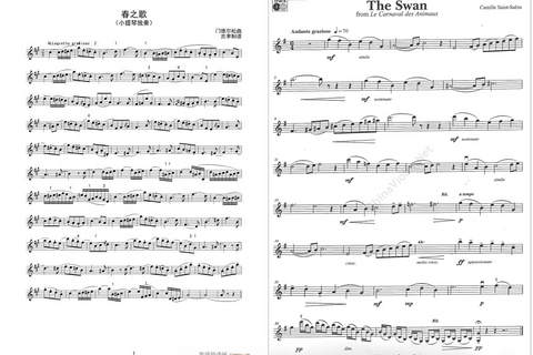 spring song and the swan