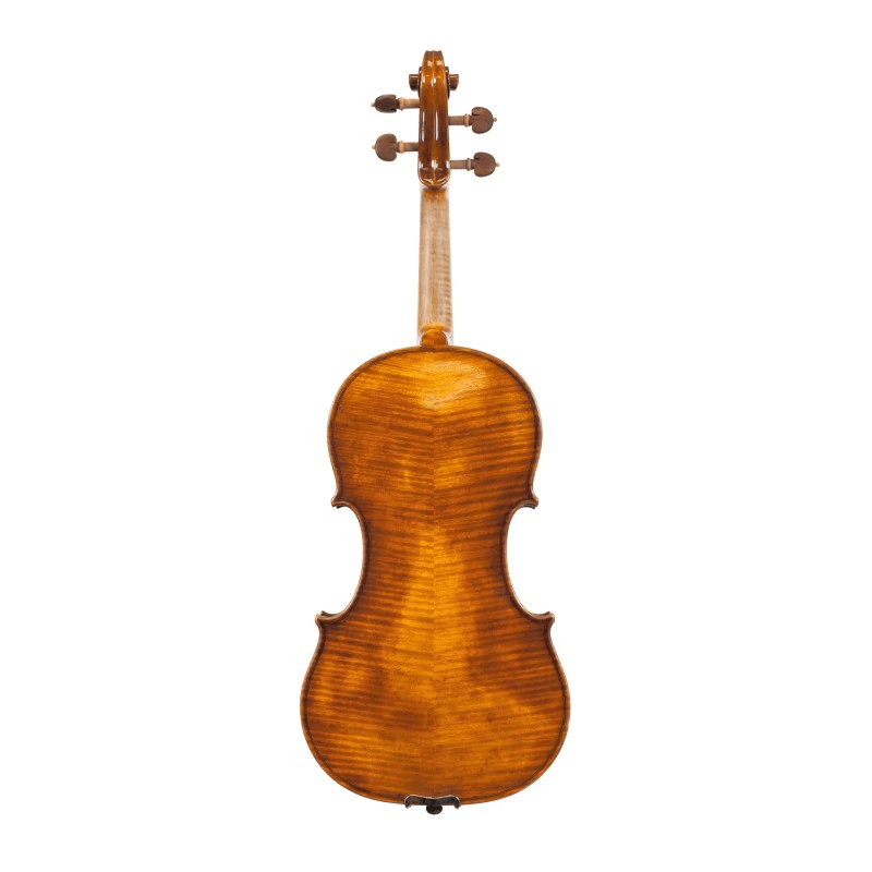 violin back fiddlover