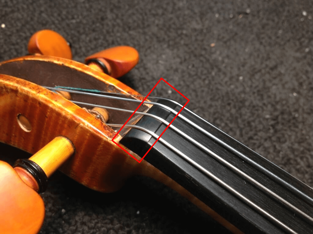 violin nut fiddlover