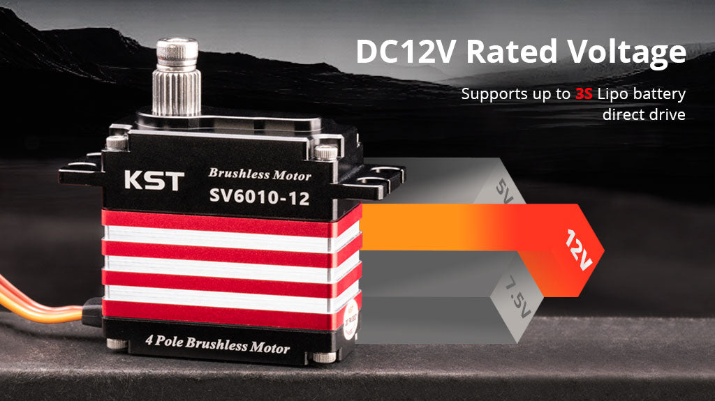 SV6010-12 HV Brushless Servo
