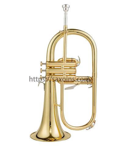 FH 600 G Bb Flugelhorn Brass with Mothpiece Case
