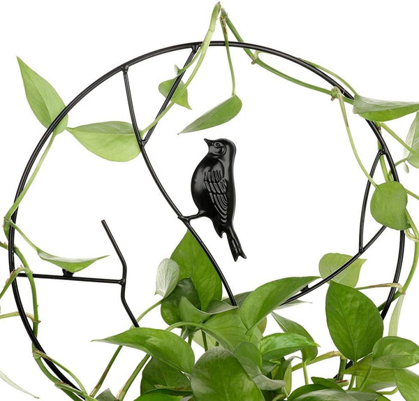 Garden Plant Trellis for Climbing Plants