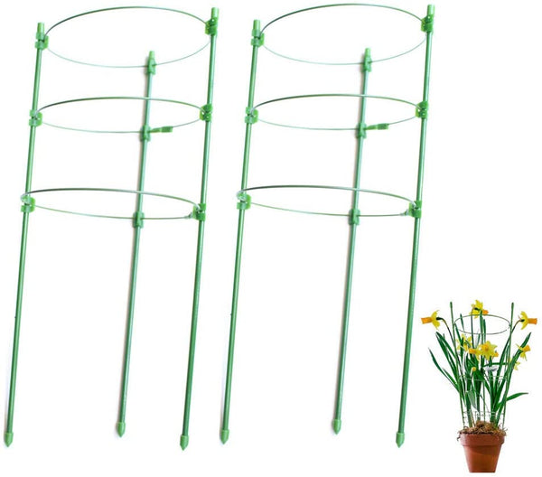 1.Flower Plants Clematis Climbing Rack