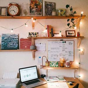 25Ft G40 Globe String Party Light