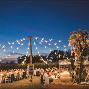 25Ft G40 Globe String Party Light