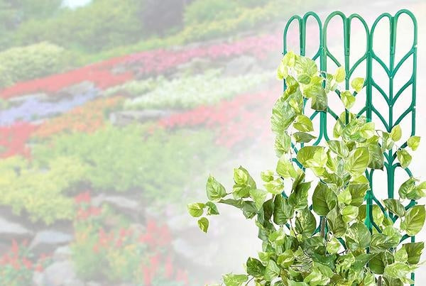5.3 Pack Indoor Plant Trellis