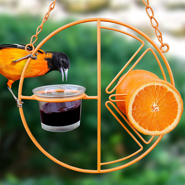 Oriole Feeder