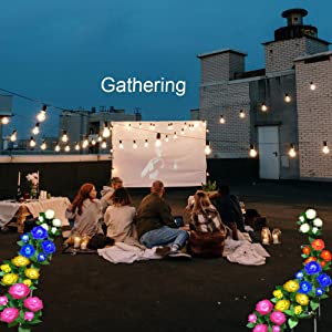 Outdoor Solar Garden Stake Lights