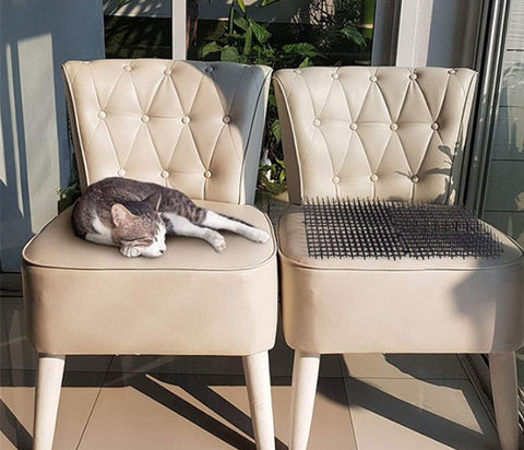 Scat Mat for Cats