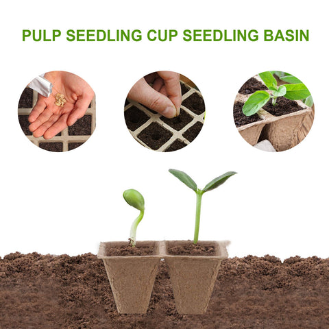 Seed Starter Peat Pots Kit