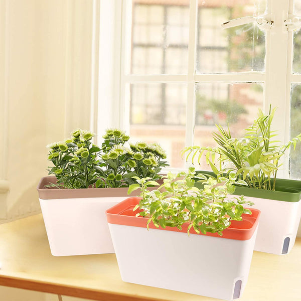 Flower Window Boxes