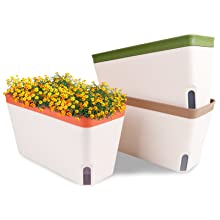 Flower Window Boxes
