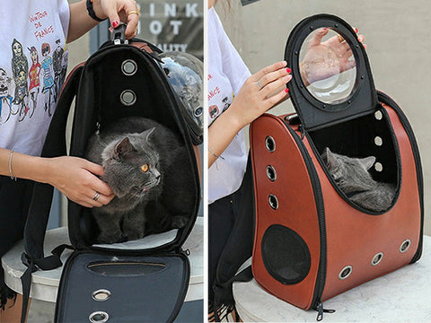 cat rocket backpack