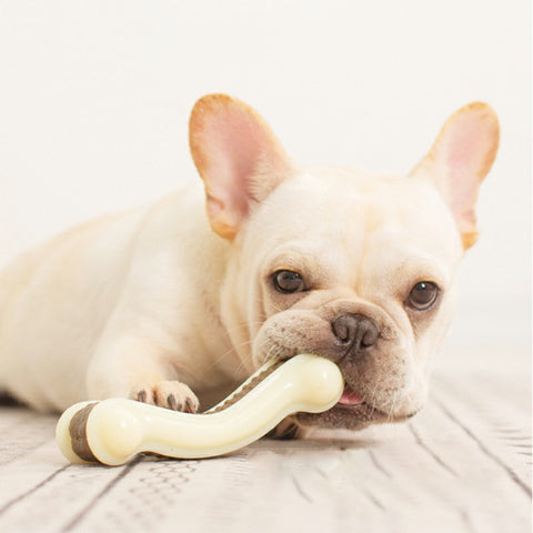 dog snack toy
