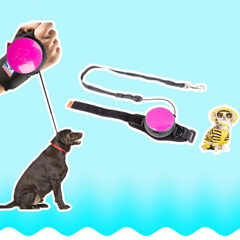 inside a retractable dog leash
