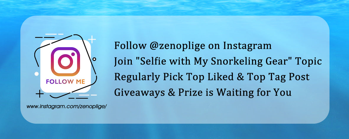 zenoplige instagram activity