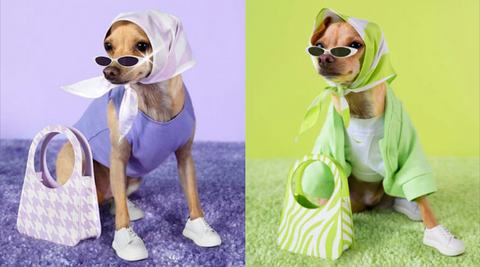 Luxury-Dog-Clothing-Haute-Couture-High-Fashion-Clothes