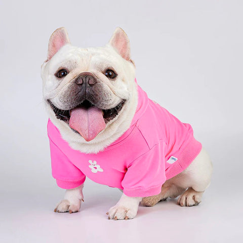 French Bulldog in a pink hoodie