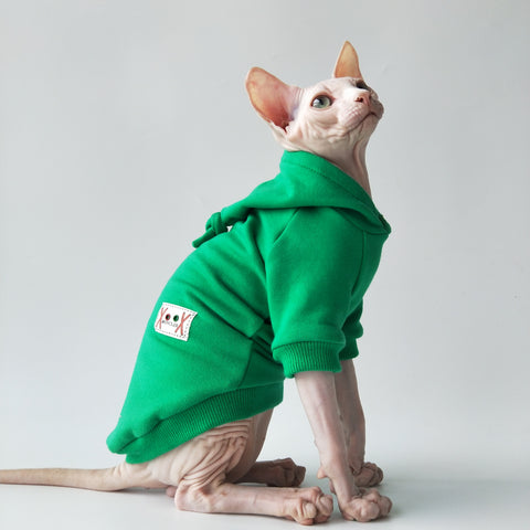 Sphynx cat in a green hoodie